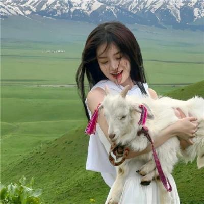 杰拉德历险记